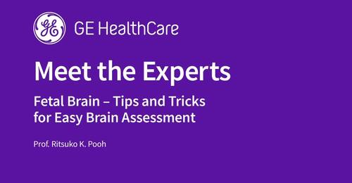 Prof. Ritsuko K. Pooh - Fetal Brain - Tips and Tricks for Easy Brain Assessment