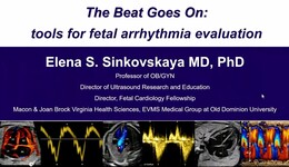 Tools for Fetal Arrhythmia Evaluation. Prof. Elena Sinkovskaya