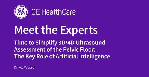 Time to Simplify 3D/4D Ultrasound Assessment of the Pelvic Floor: The Key Role of Artificial Intelligence - Dr. Aly Youssef