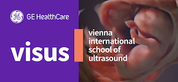 VISUS Course 2024