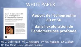 Rectosonographie WP Gyn FR