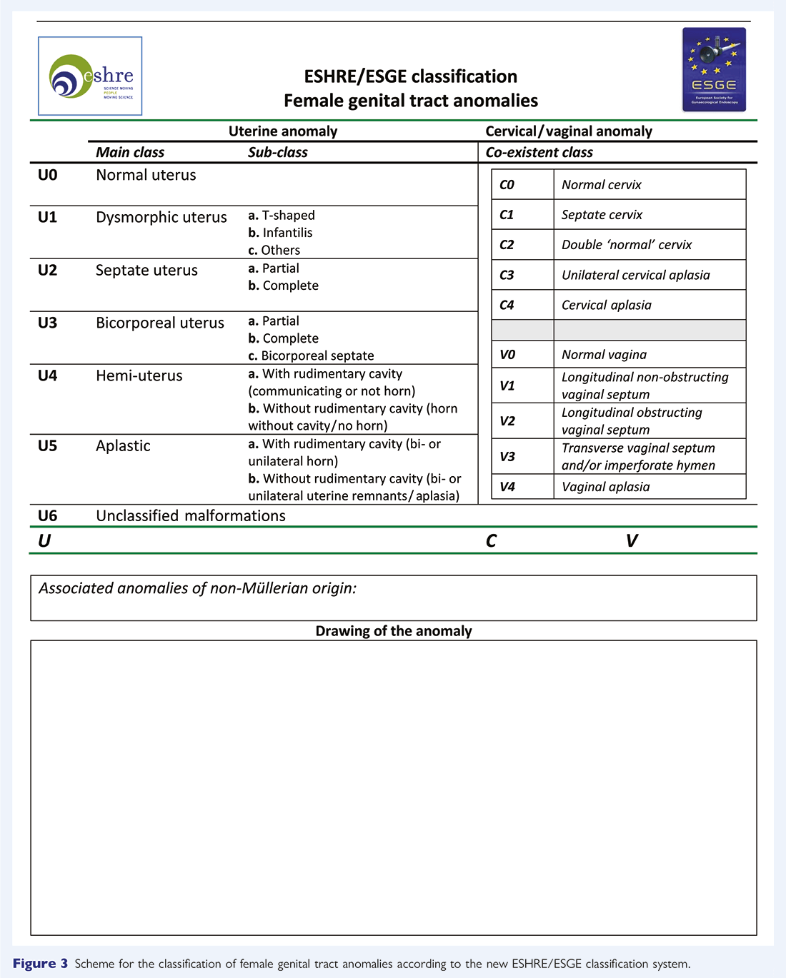 ESHRE Guidelines Figure 7